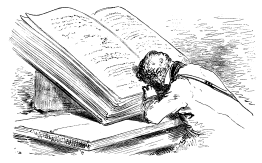 reader.gif (16270 bytes)